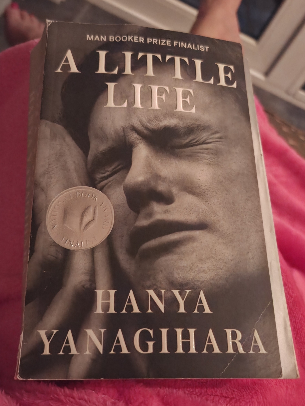 A Little Life - Hanya Yanagihara